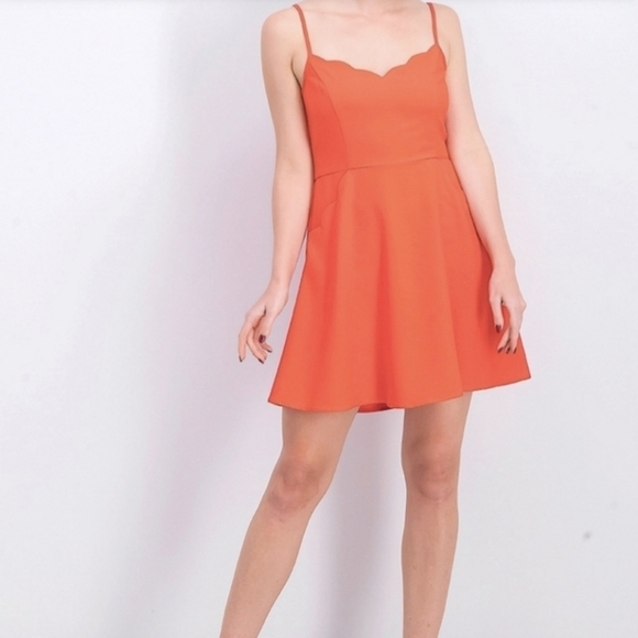 MARKET & spruce Crissie scalloped dress size 14W - Picture 2 of 10